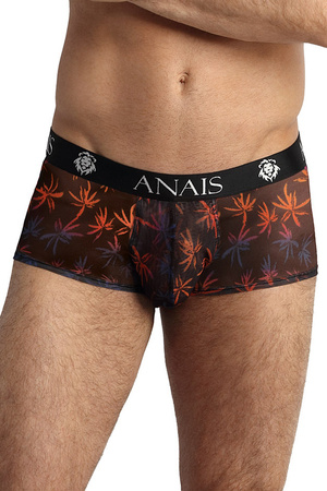 Majtki slipy Anais Chill brief grafit 