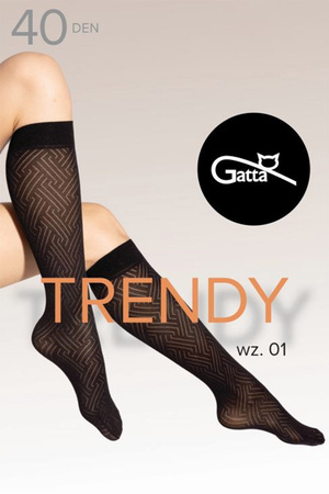 Podkolanówki Gatta Knee Socks 01 40 DEN nero